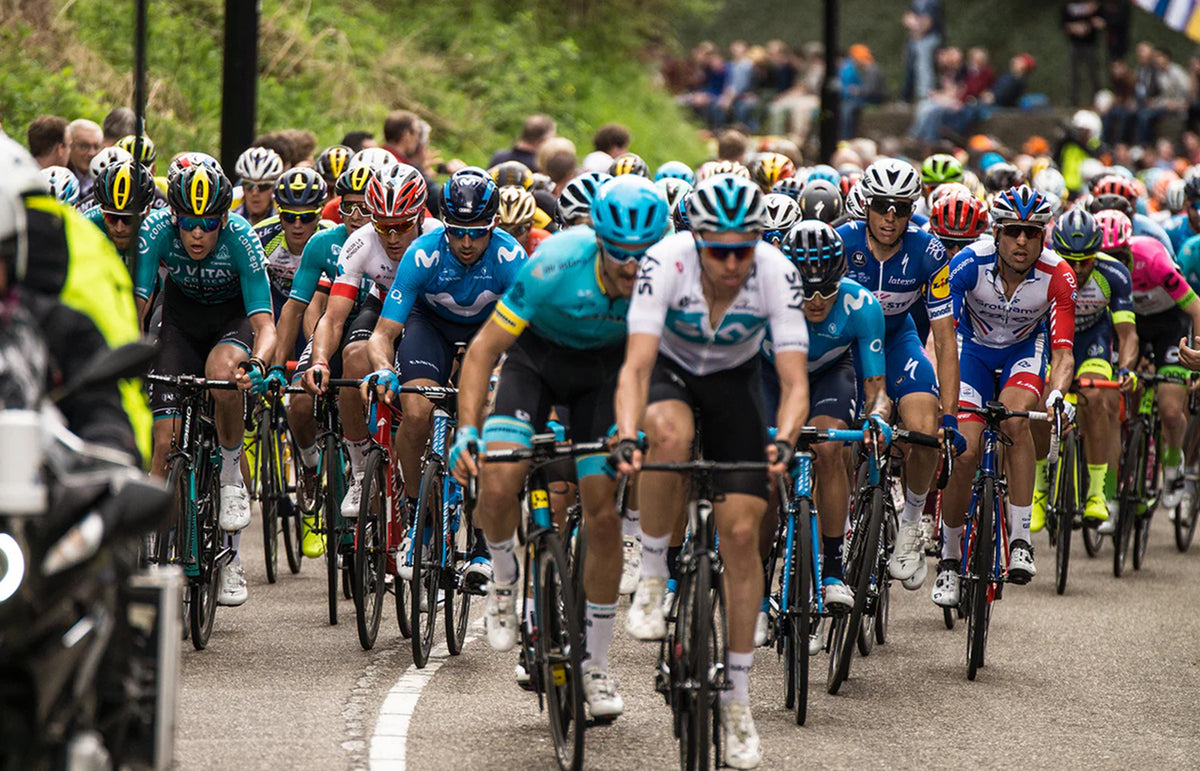 Cykelryttere i et feltløb på landevejen