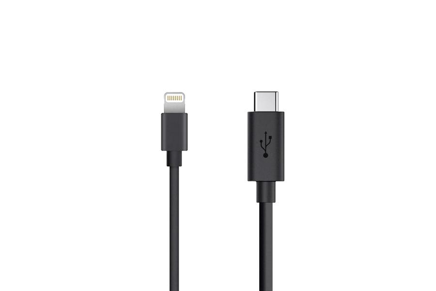 Gemini Lights Lightning-auf-USB-C-Kabel | Modell 2021
